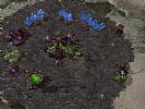 StarCraft II: Wings of Liberty - screenshot #13