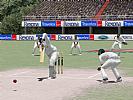 Cricket 2004 - screenshot #34