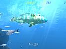Diver: Deep Water Adventures - screenshot #114