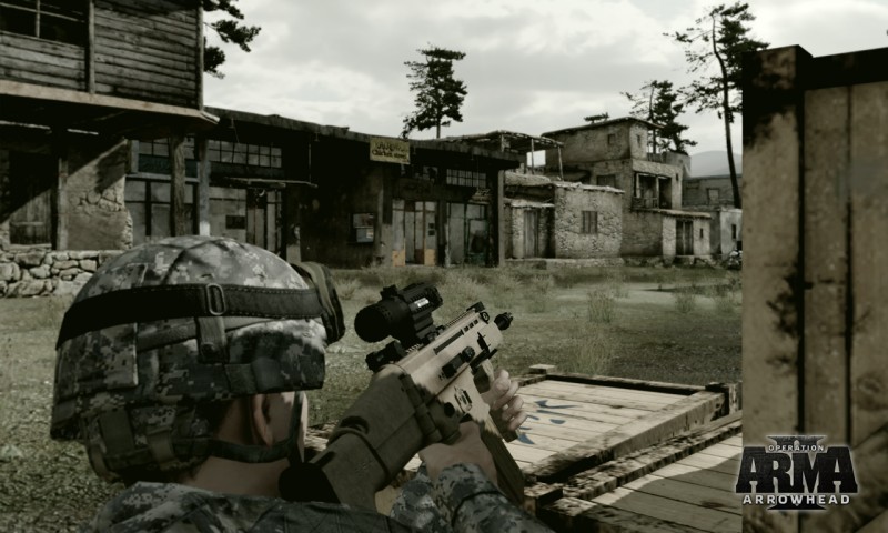 ARMA II: Operation Arrowhead - screenshot 16