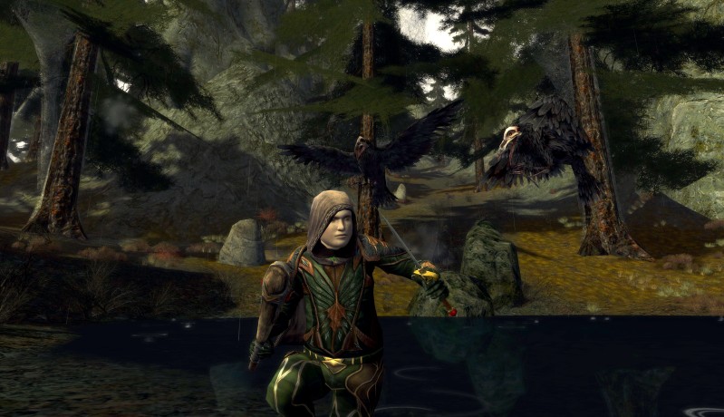 The Lord of the Rings Online: Siege of Mirkwood - screenshot 2