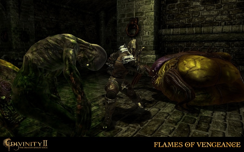 Divinity 2: Flames of Vengeance - screenshot 14