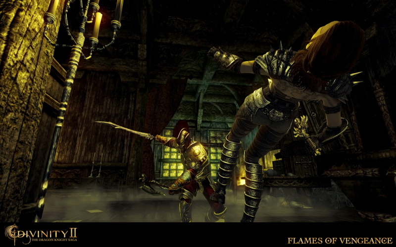 Divinity 2: Flames of Vengeance - screenshot 8