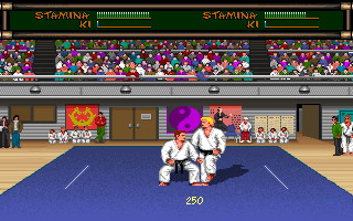 Budokan: The Martial Spirit - screenshot 14