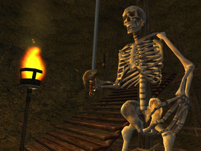 The Elder Scrolls 3: Morrowind - screenshot 14