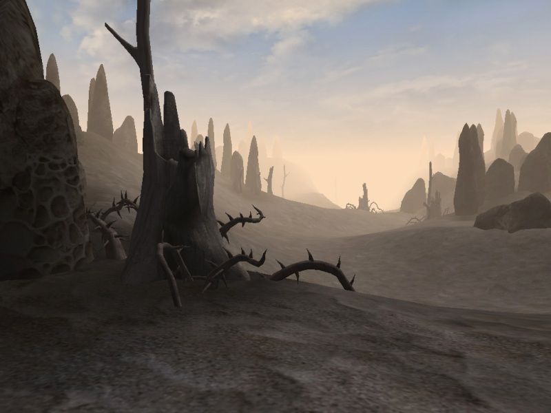 The Elder Scrolls 3: Morrowind - screenshot 10