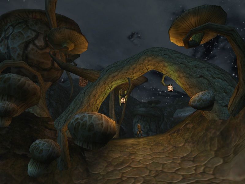 The Elder Scrolls 3: Morrowind - screenshot 2