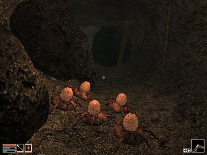 The Elder Scrolls 3: Morrowind - Collector's Edition - screenshot 16