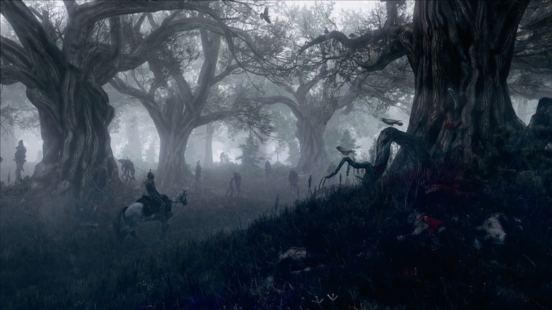 The Witcher 3: Wild Hunt - screenshot 72