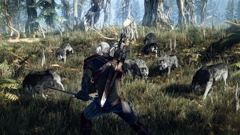 The Witcher 3: Wild Hunt - screenshot 71