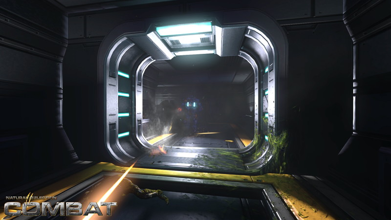 NS2: Combat - screenshot 9