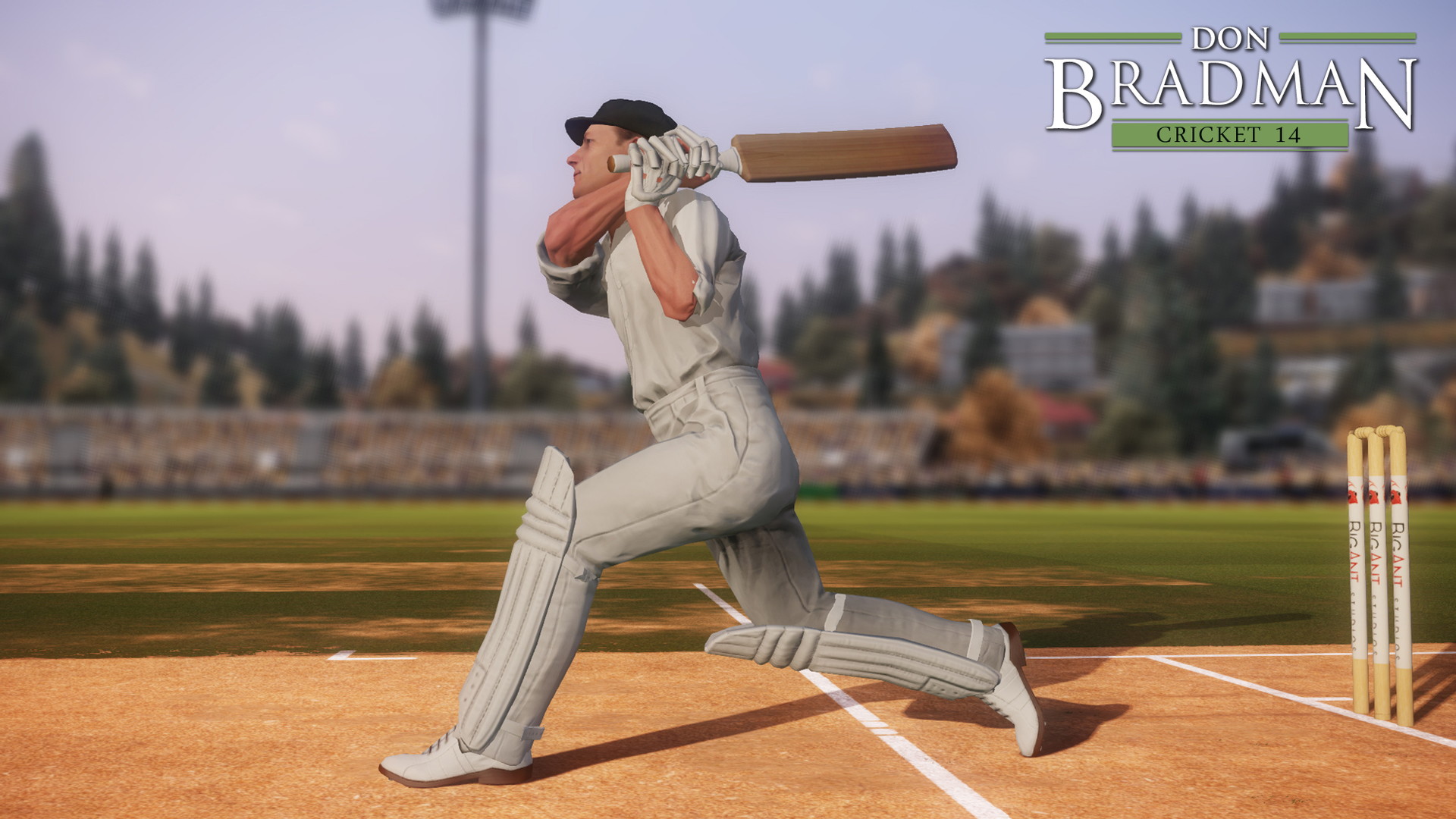 Don Bradman Cricket 14 - screenshot 11