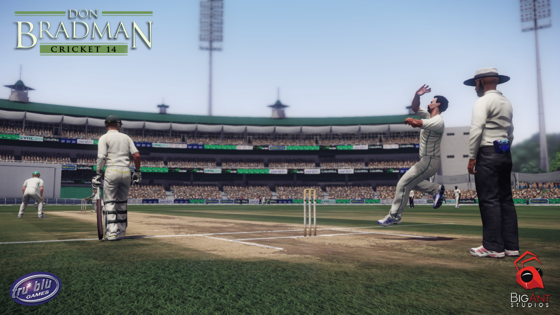 Don Bradman Cricket 14 - screenshot 5