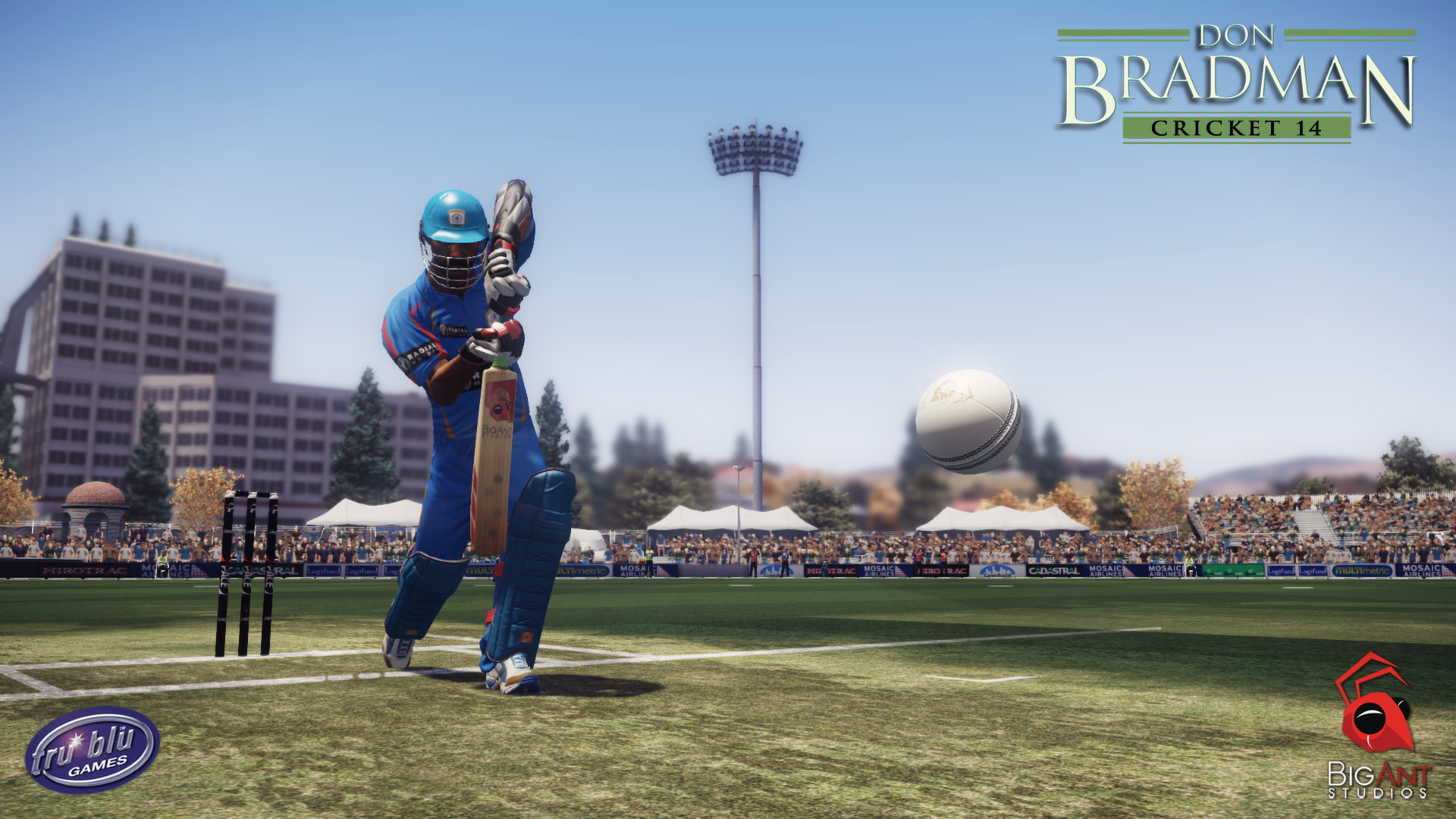 Don Bradman Cricket 14 - screenshot 4