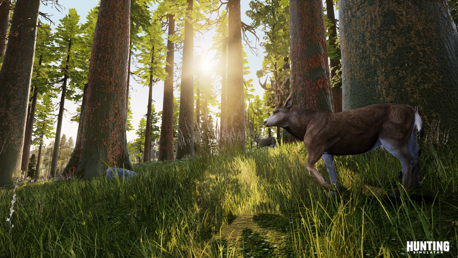Hunting Simulator - screenshot 11