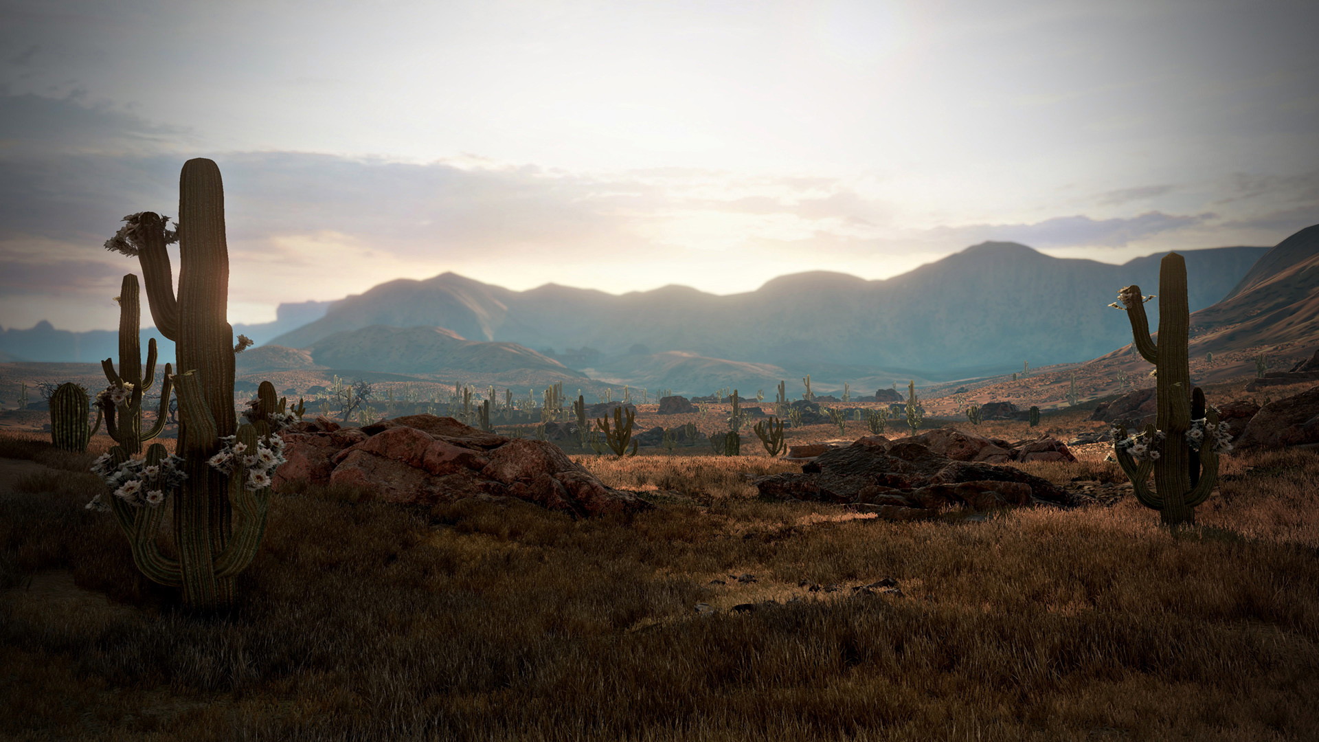 Wild West Online - screenshot 3