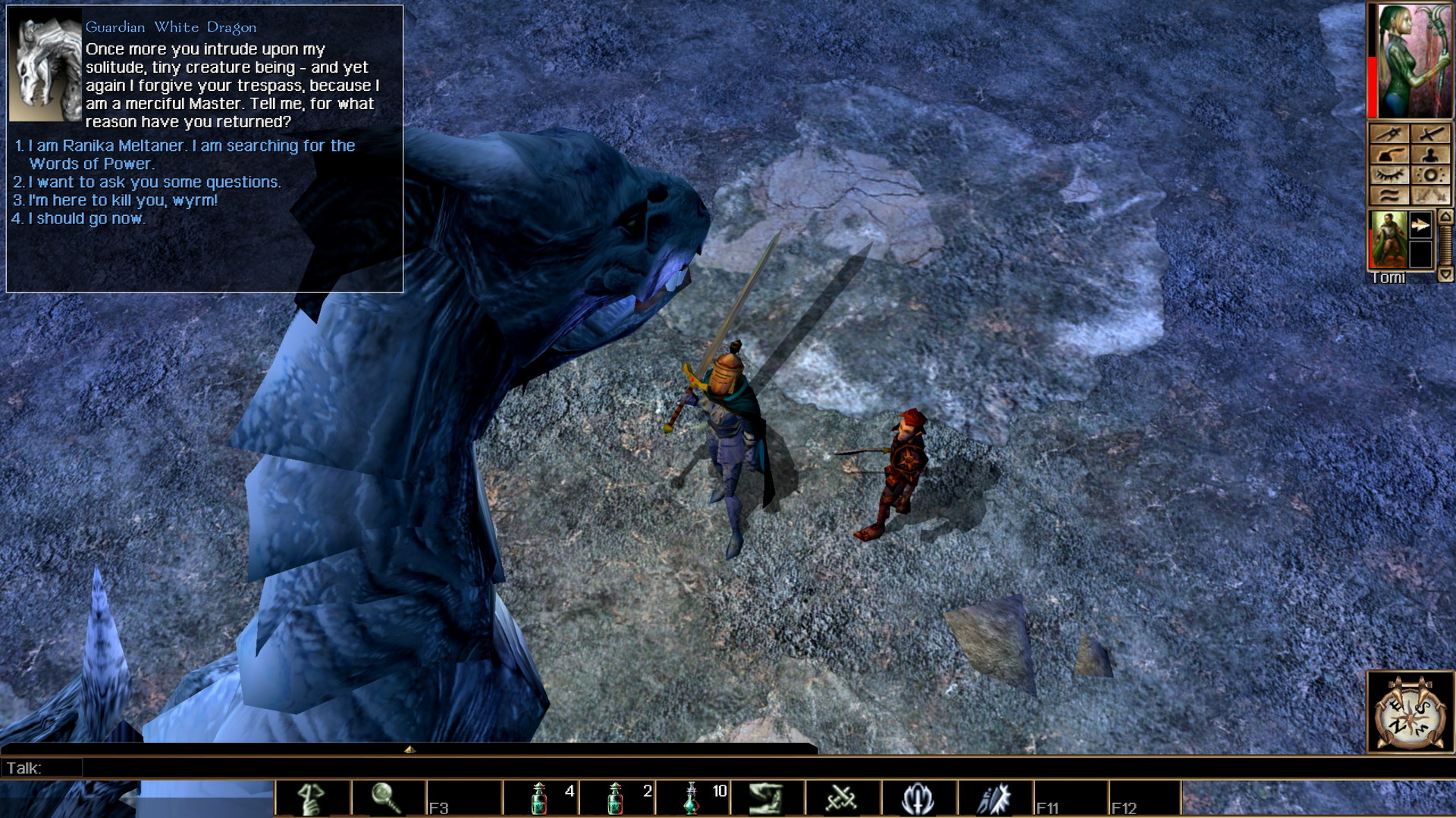 Neverwinter Nights: Enhanced Edition - screenshot 9