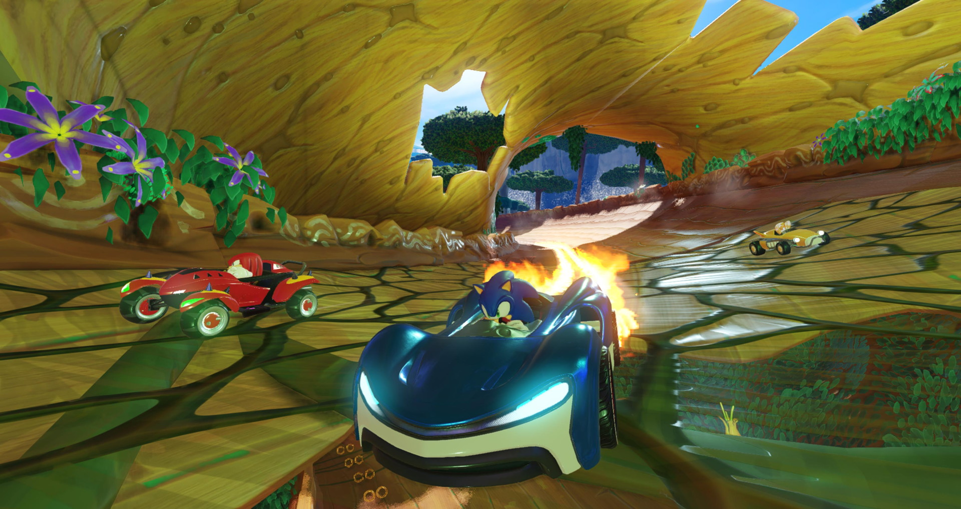 Team Sonic Racing - screenshot 13