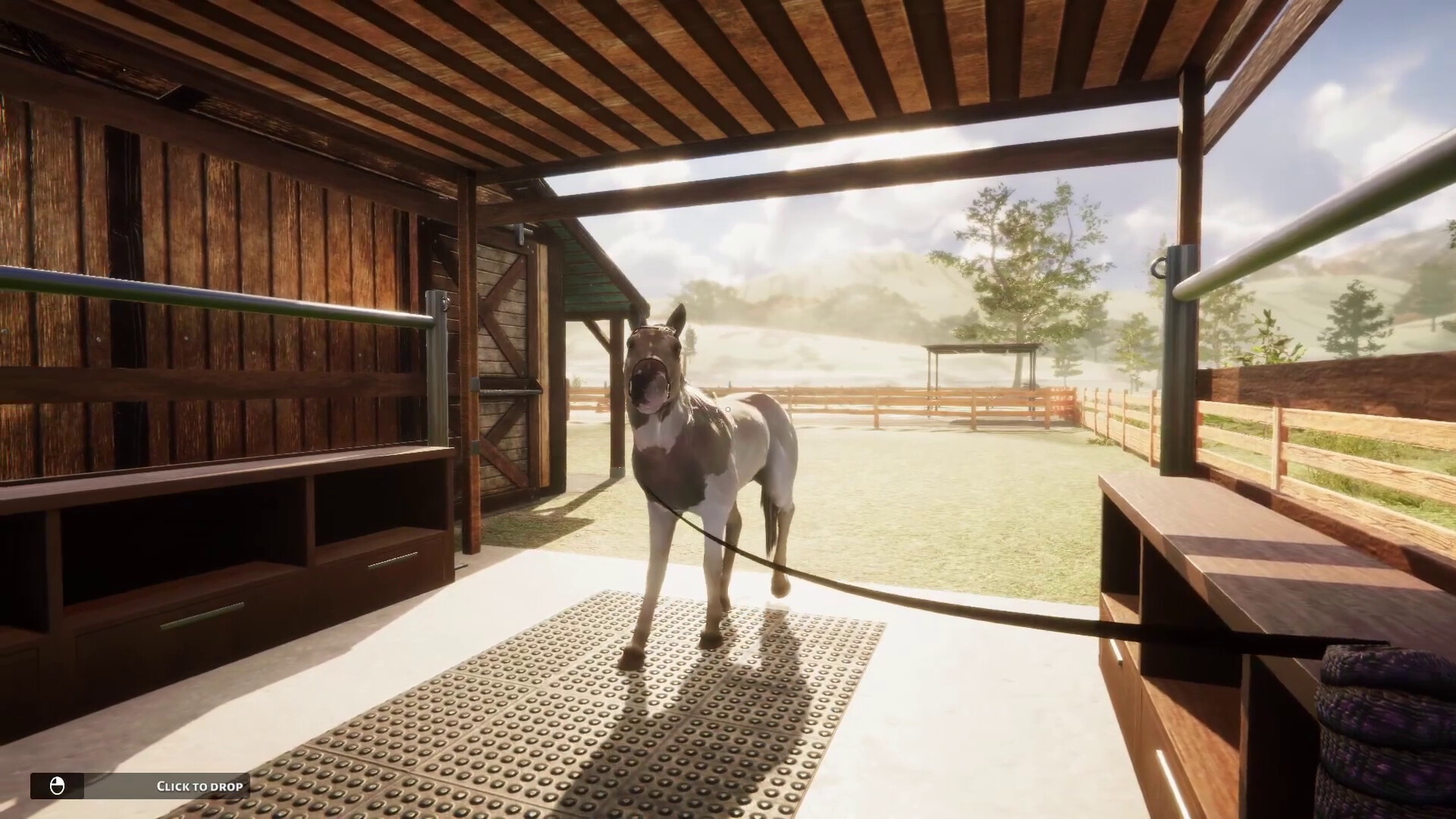Animal Shelter - Horse Shelter - screenshot 8