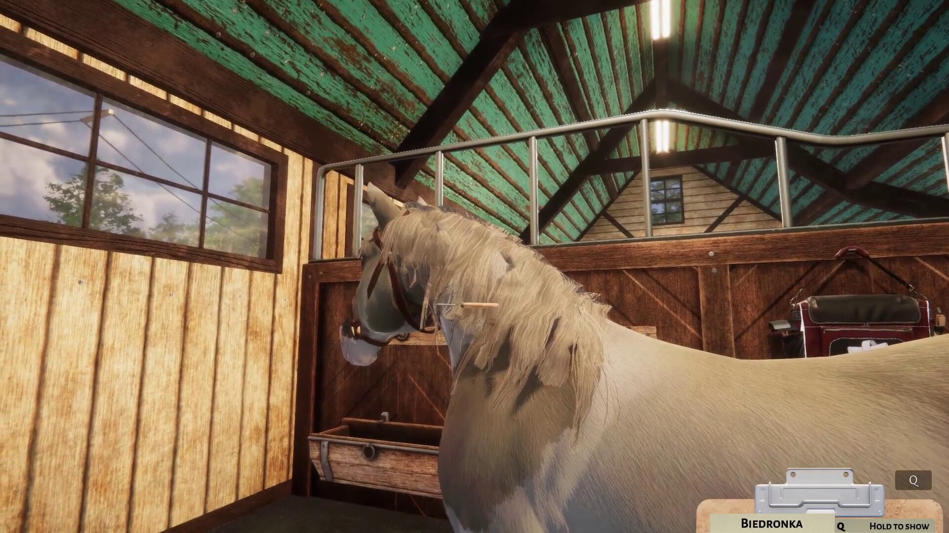 Animal Shelter - Horse Shelter - screenshot 5