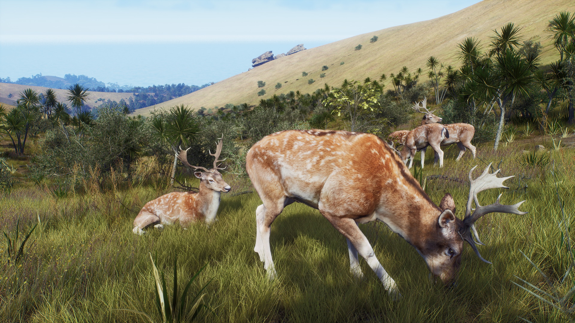 Way of the Hunter: Matariki Park - screenshot 13