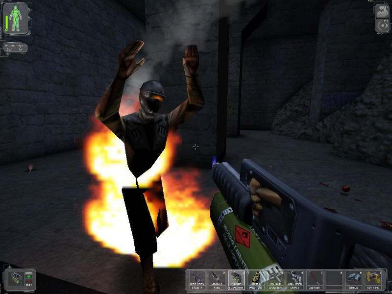 Deus Ex - screenshot 4