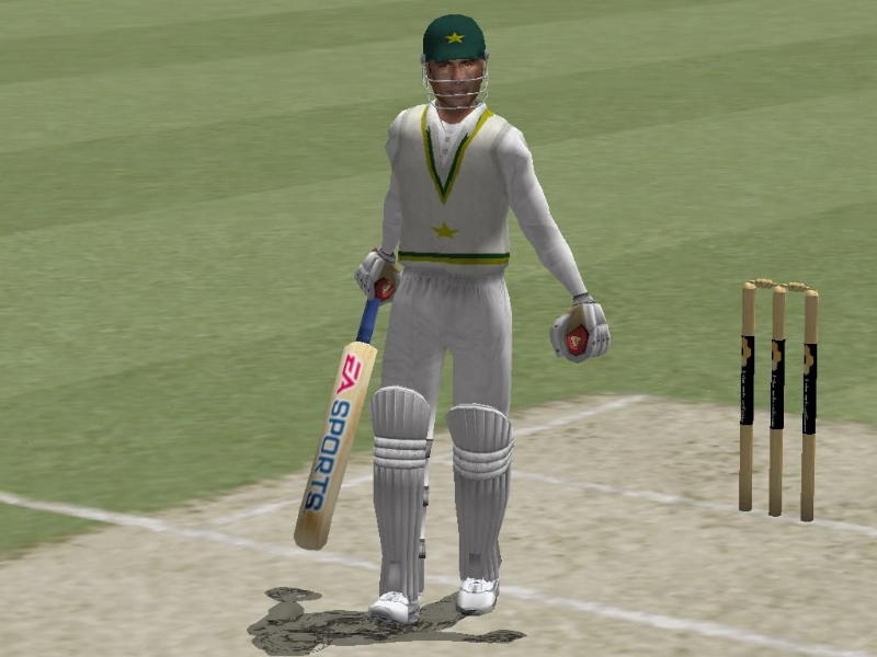 Cricket 2004 - screenshot 10