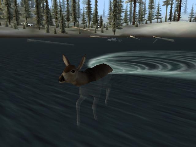 Deer Hunter 2005 - screenshot 1