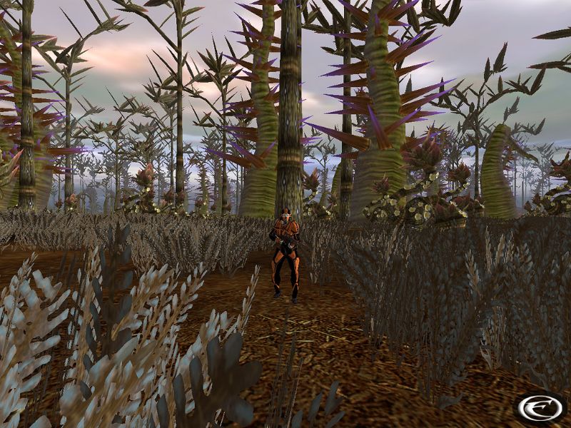 Entropia Universe - screenshot 16