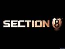 Section 8 - wallpaper #2