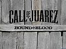 Call of Juarez: Bound in Blood - wallpaper #3