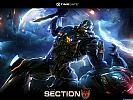 Section 8 - wallpaper #10