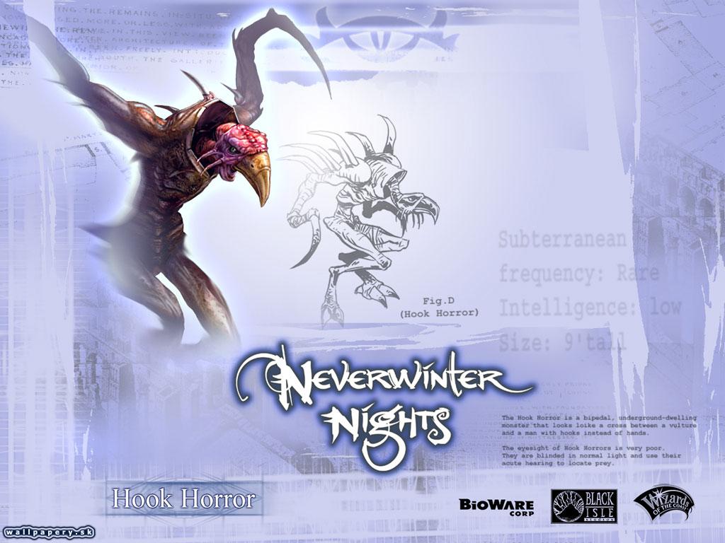 Neverwinter Nights - wallpaper 5