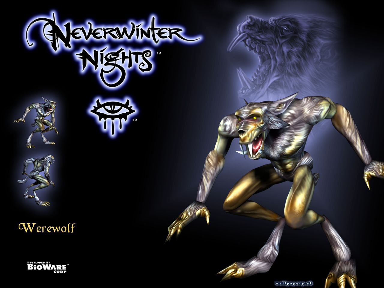 Neverwinter Nights - wallpaper 14
