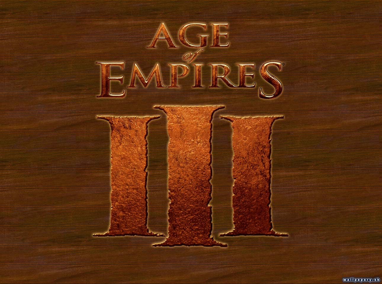 Age of Empires 3: Age of Discovery - wallpaper 4