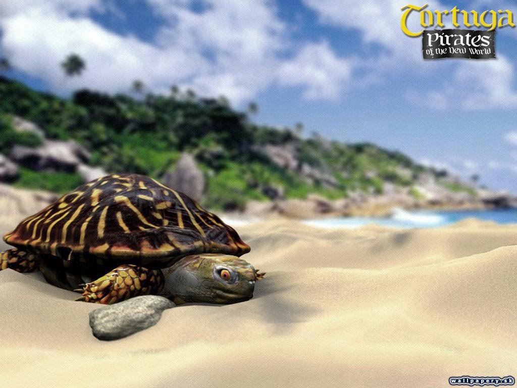 Tortuga: Pirates of The New World - wallpaper 6