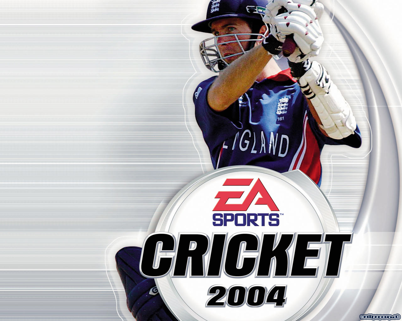 Cricket 2004 - wallpaper 2