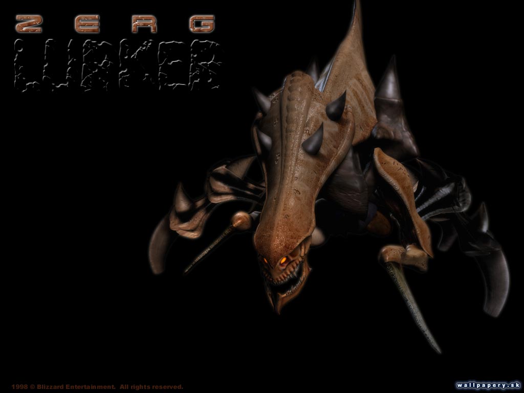 StarCraft: Brood War - wallpaper 5