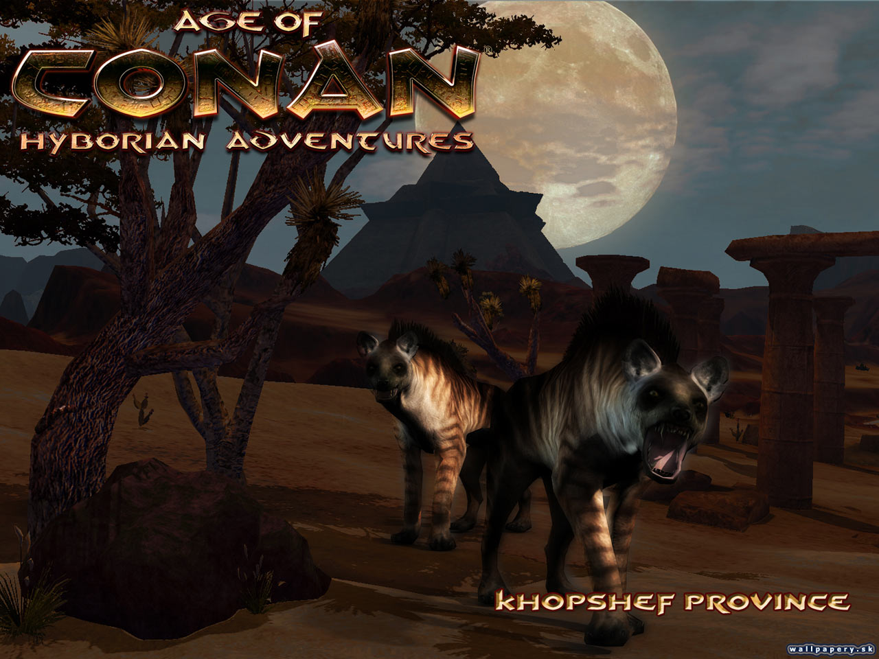Age of Conan: Hyborian Adventures - wallpaper 14