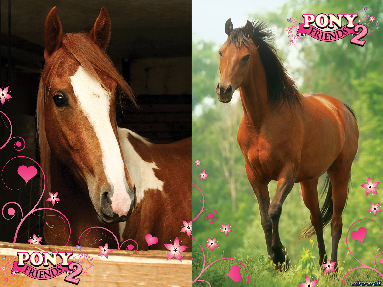 Pony Friends 2 - wallpaper 7