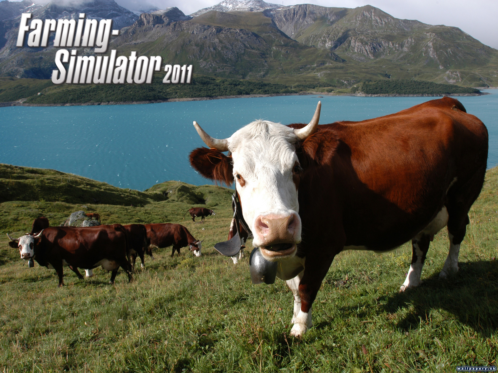 Farming Simulator 2011 - wallpaper 7