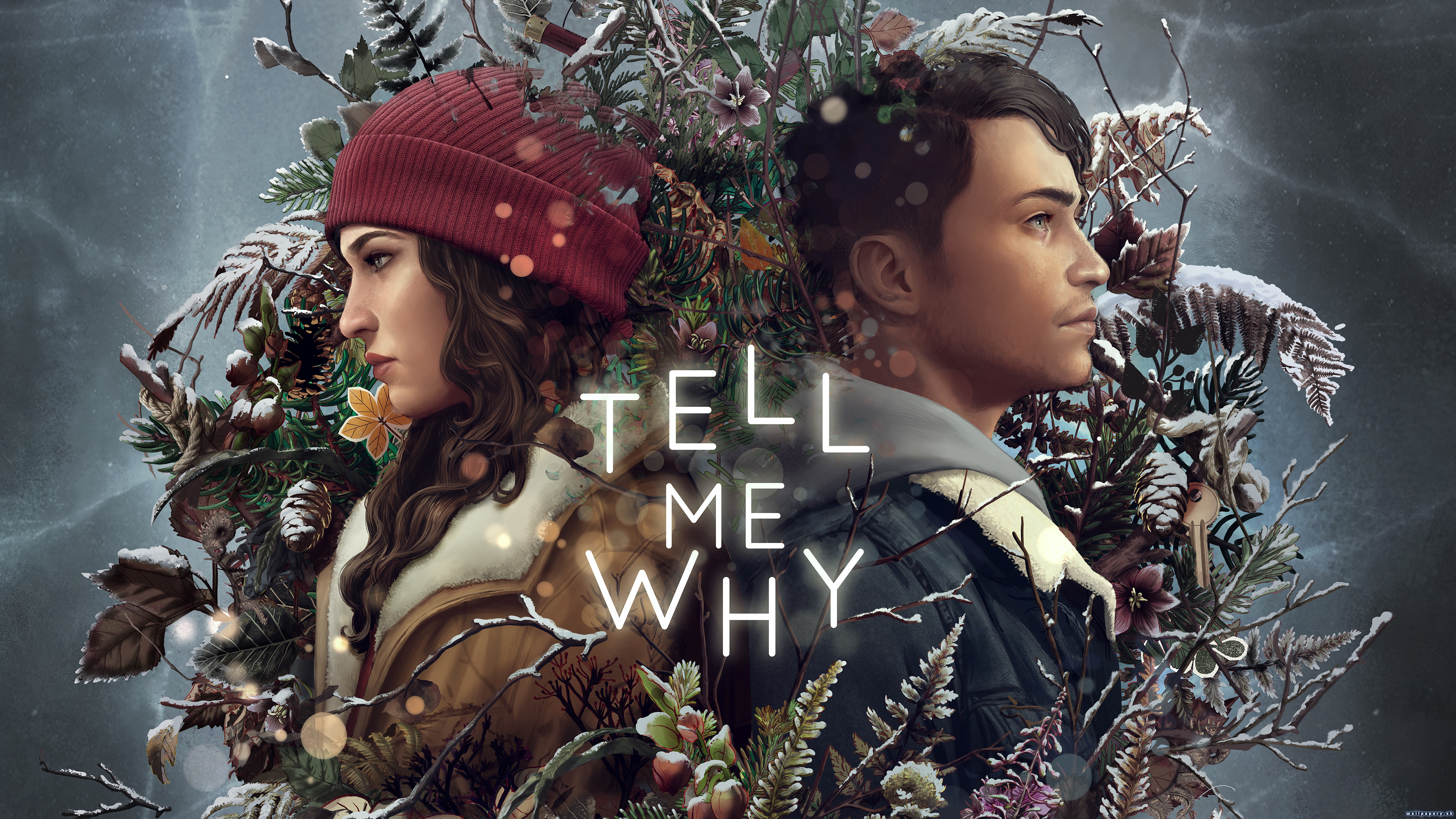 Tell Me Why - wallpaper 1