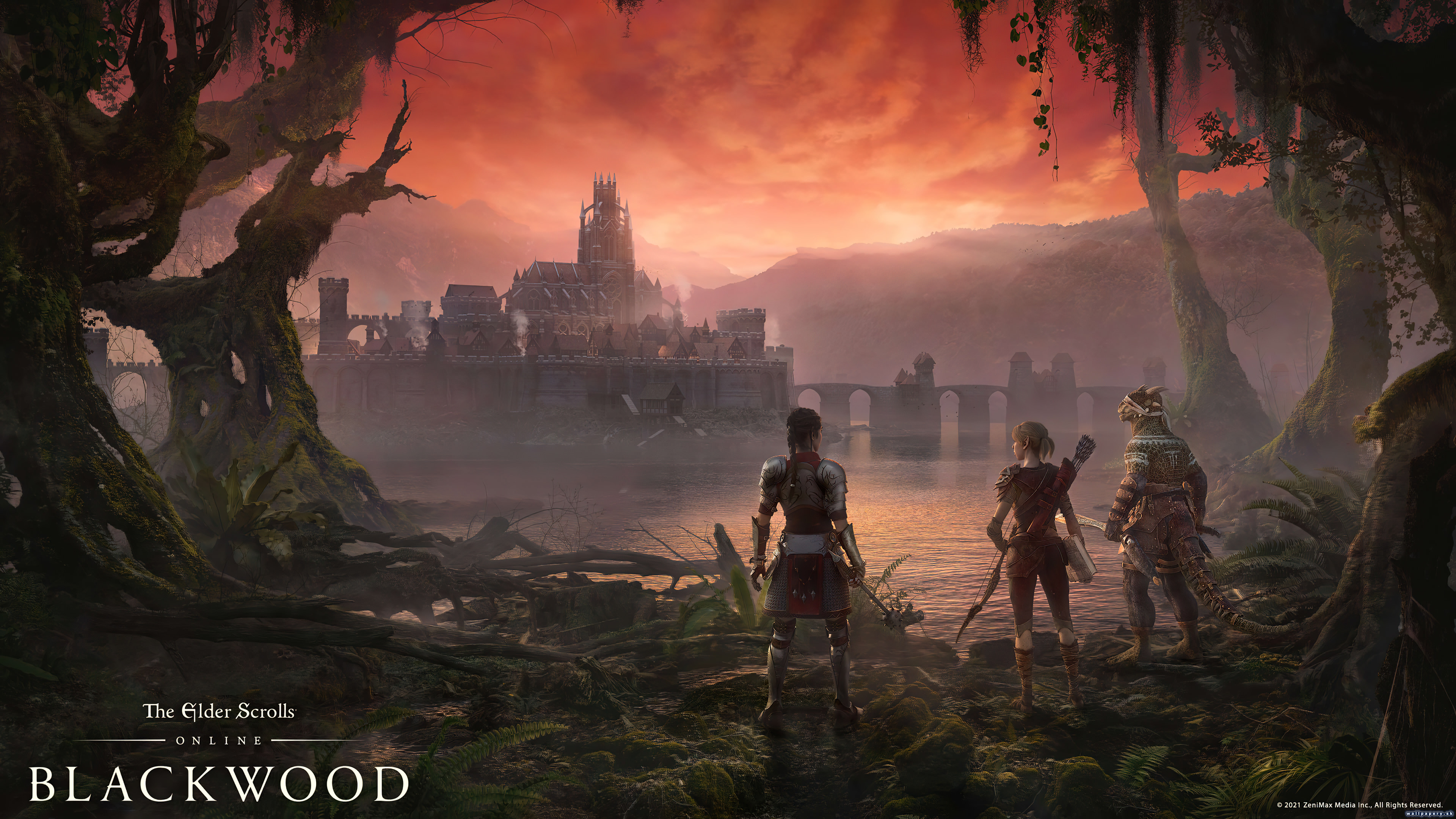 The Elder Scrolls Online: Blackwood - wallpaper 3