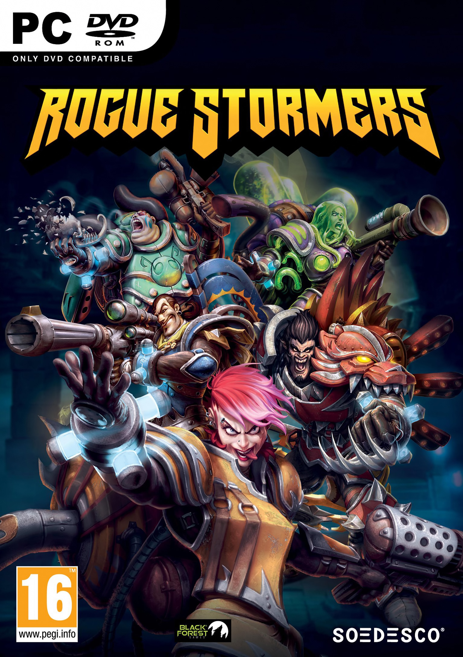 Rogue Stormers - pedn DVD obal