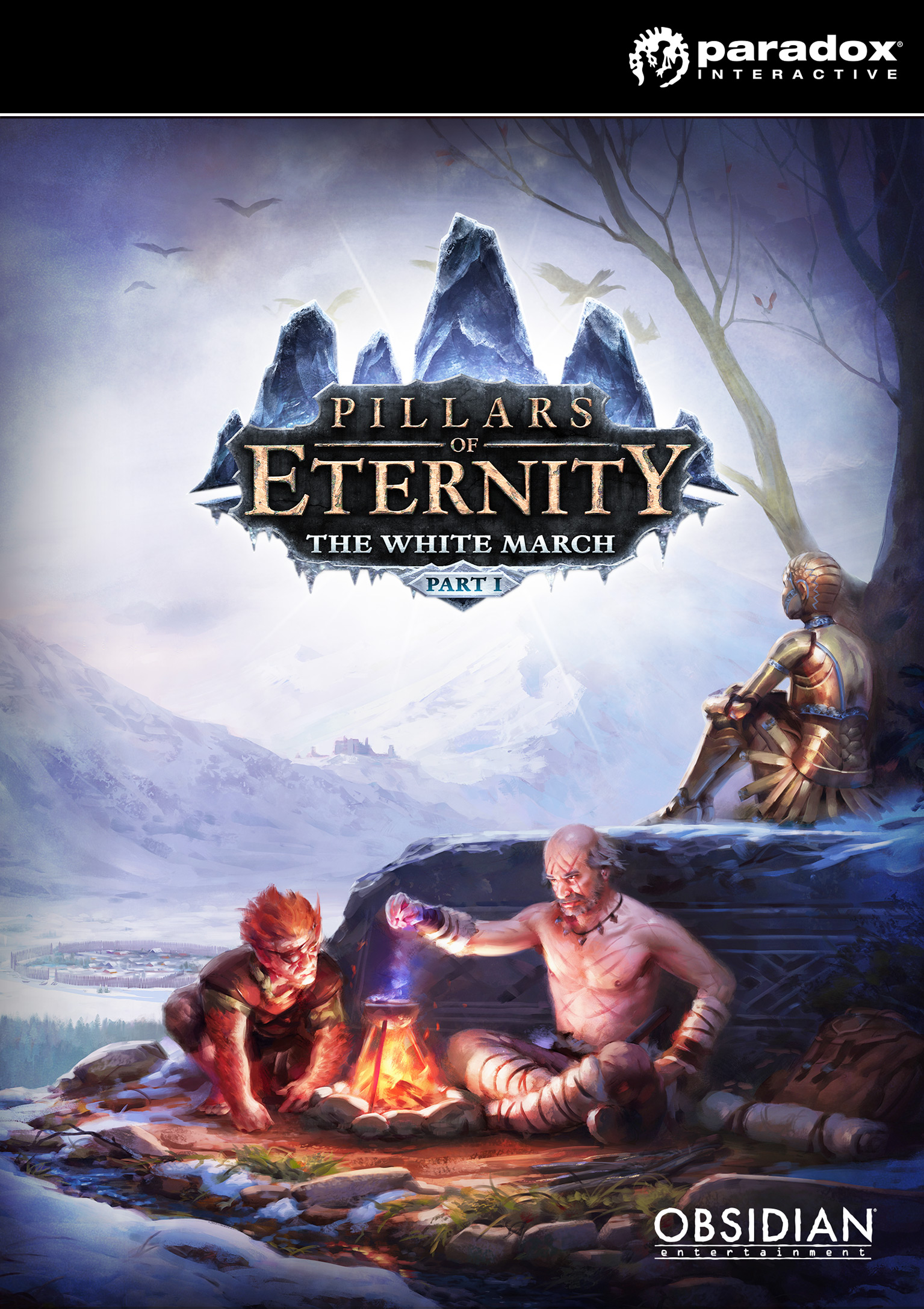 Pillars of Eternity - The White March: Part 1 - pedn DVD obal