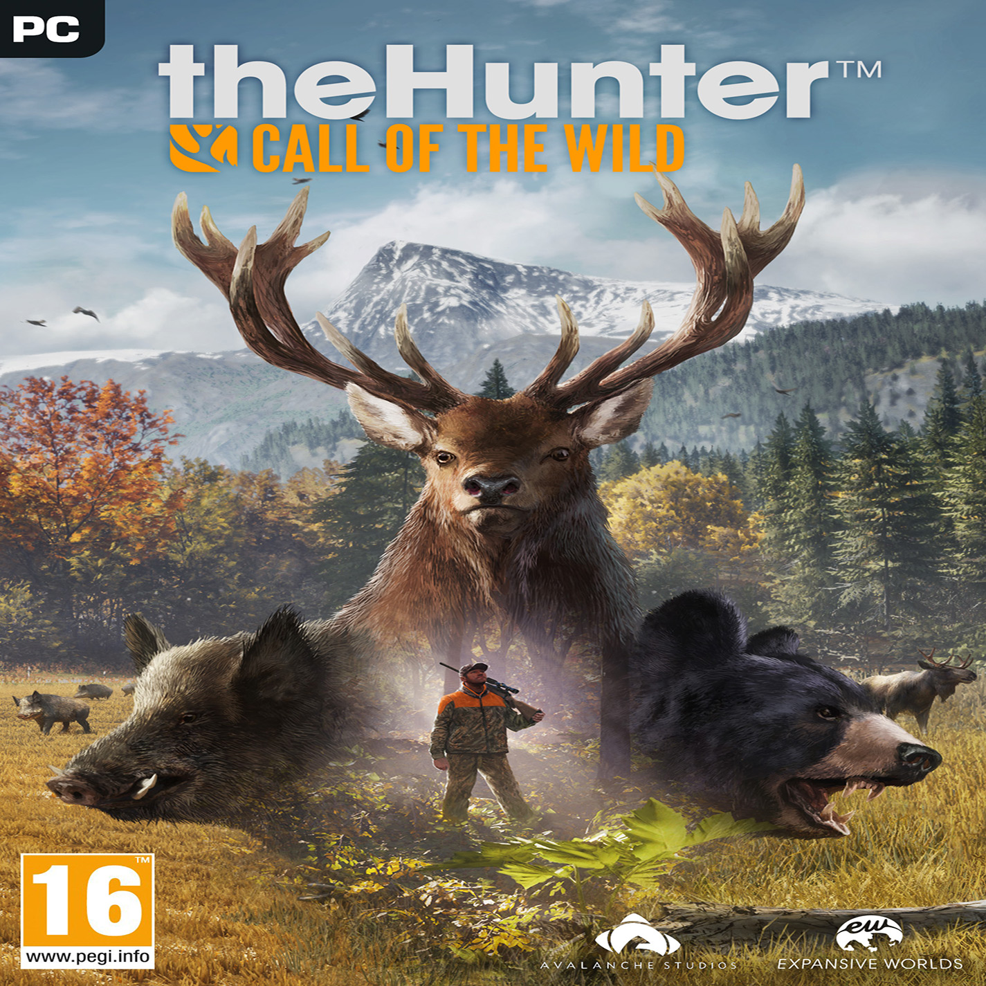 theHunter: Call of the Wild - pedn CD obal