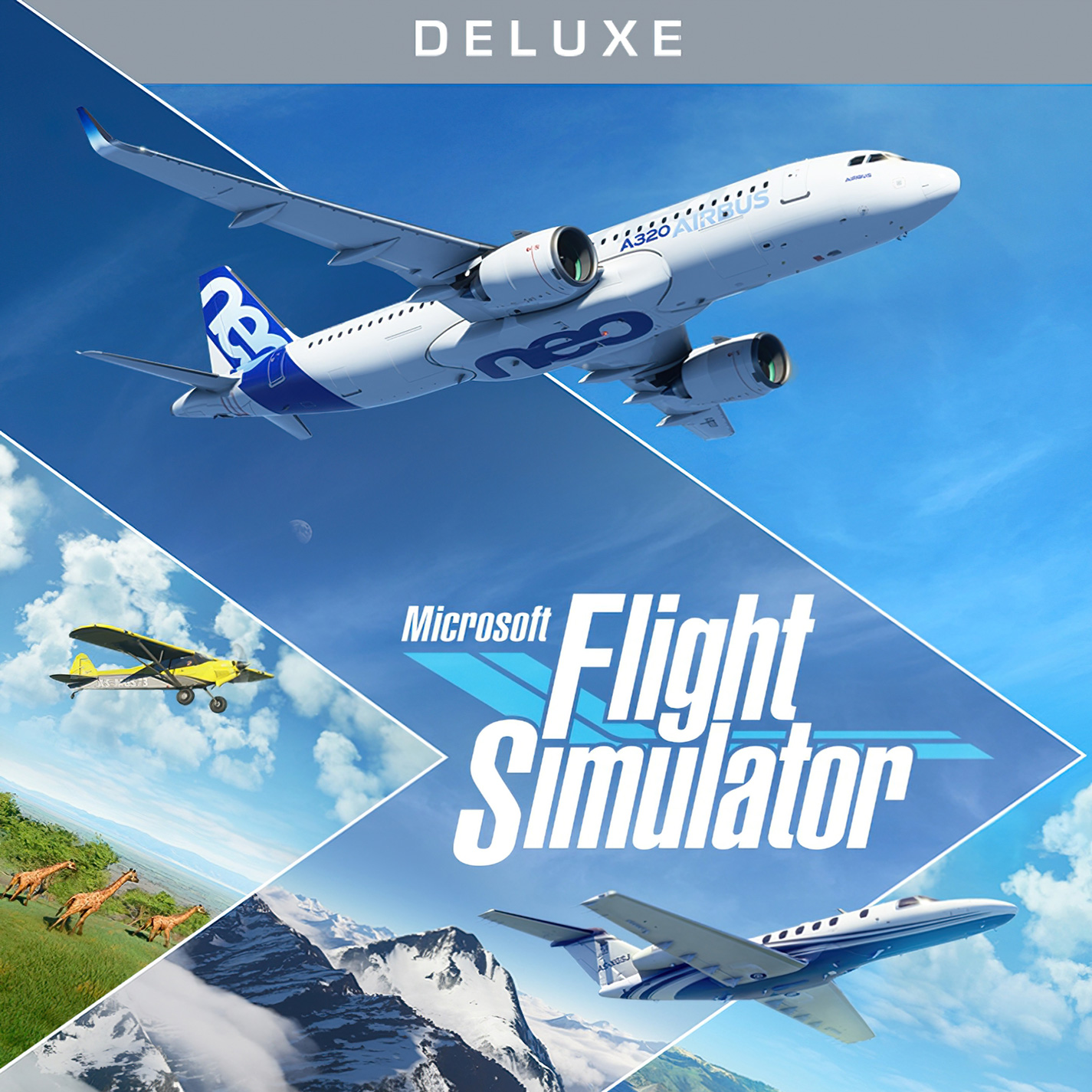 Microsoft Flight Simulator - pedn CD obal 2