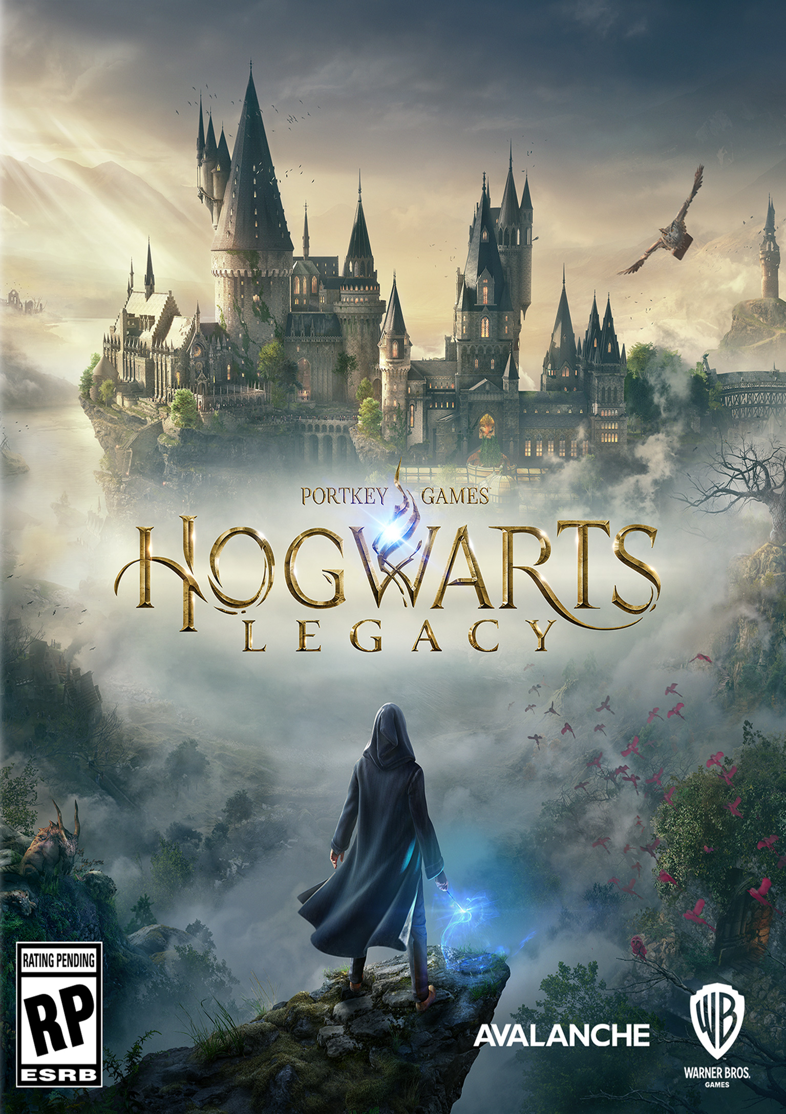 Hogwarts Legacy - pedn DVD obal