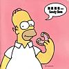 The Simpsons: Virtual Springfield - predn vntorn CD obal