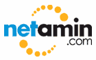 Netamin - logo